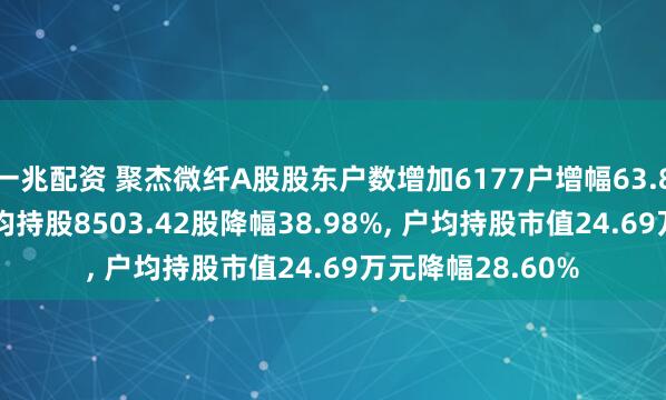 一兆配资 聚杰微纤A股股东户数增加6177户增幅63.87%, 流通A股户均持股8503.42股降幅38.98%, 户均持股市值24.69万元降幅28.60%