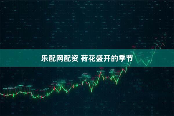 乐配网配资 荷花盛开的季节